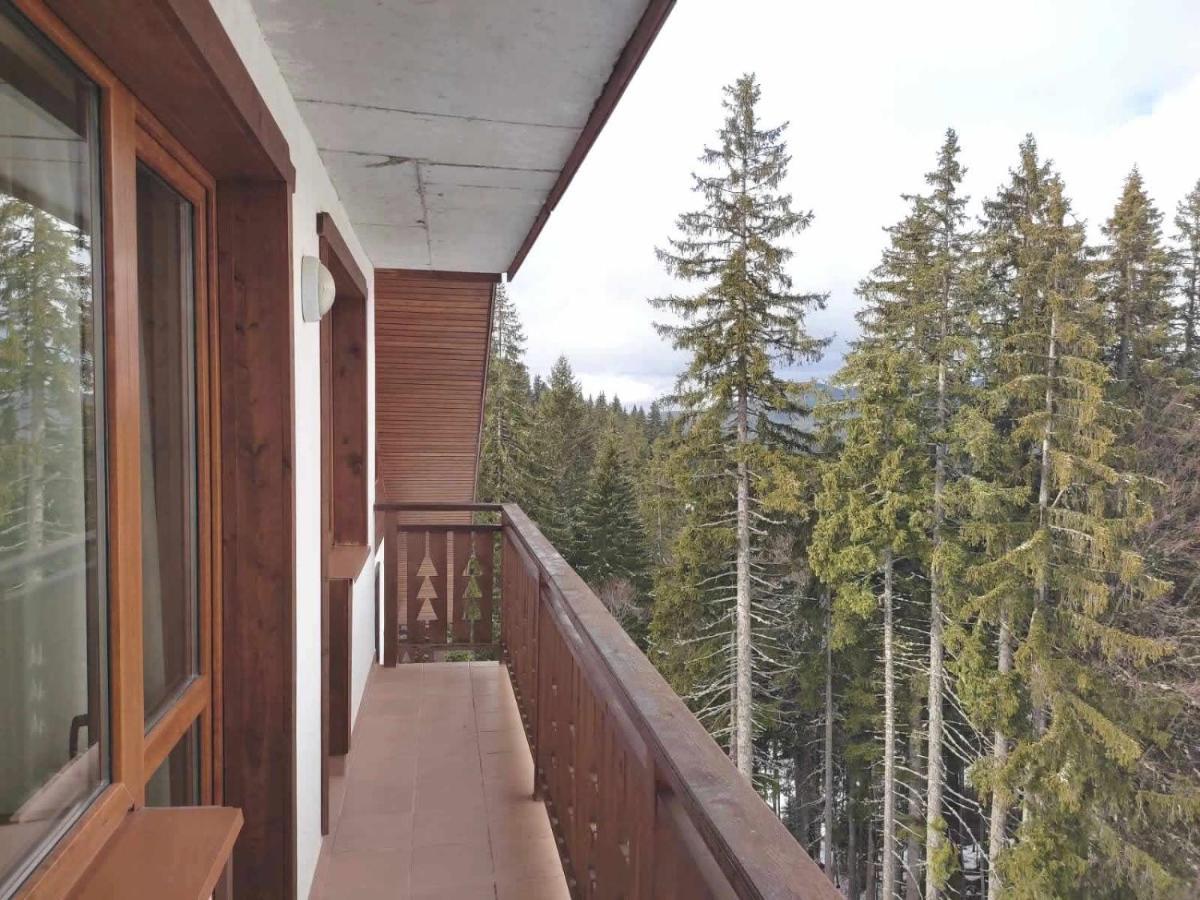 Nevada Aparthotel Pamporovo Luaran gambar