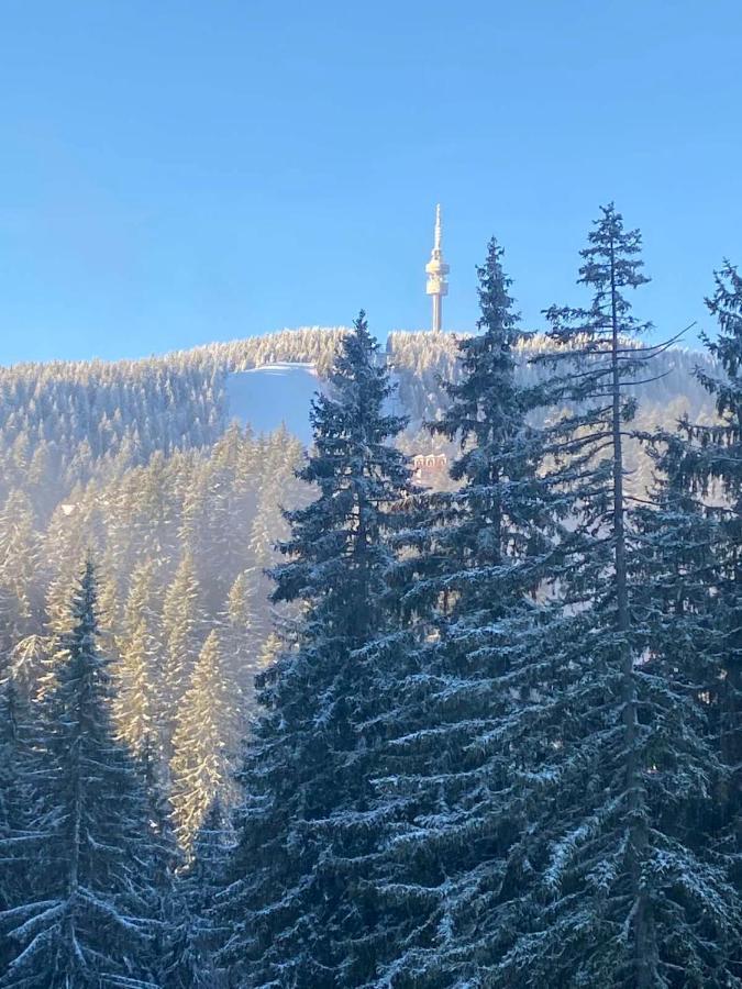 Nevada Aparthotel Pamporovo Luaran gambar